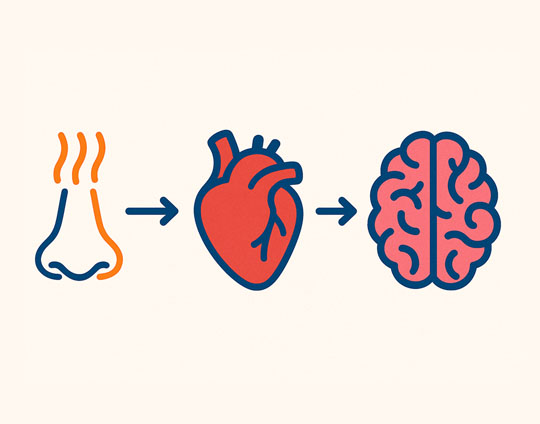 Olfato, corazón y mente