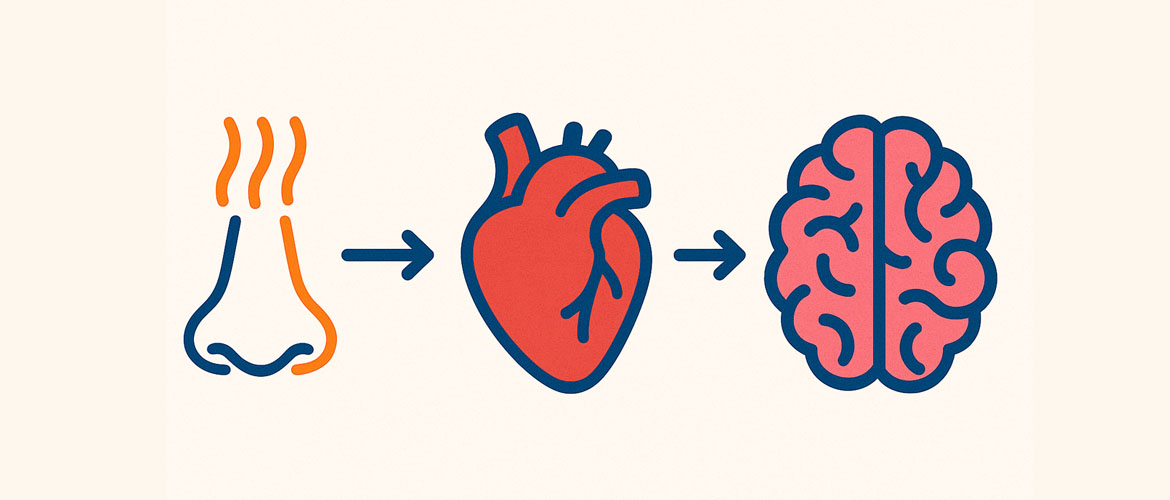Olfato, corazón y mente