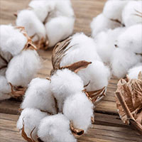 fragancia Spiritual Peace