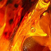 fragancia Dark Amber