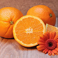 fragancia Rainforest